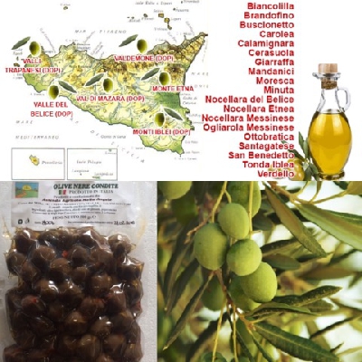 Fotografia caricata da OIP