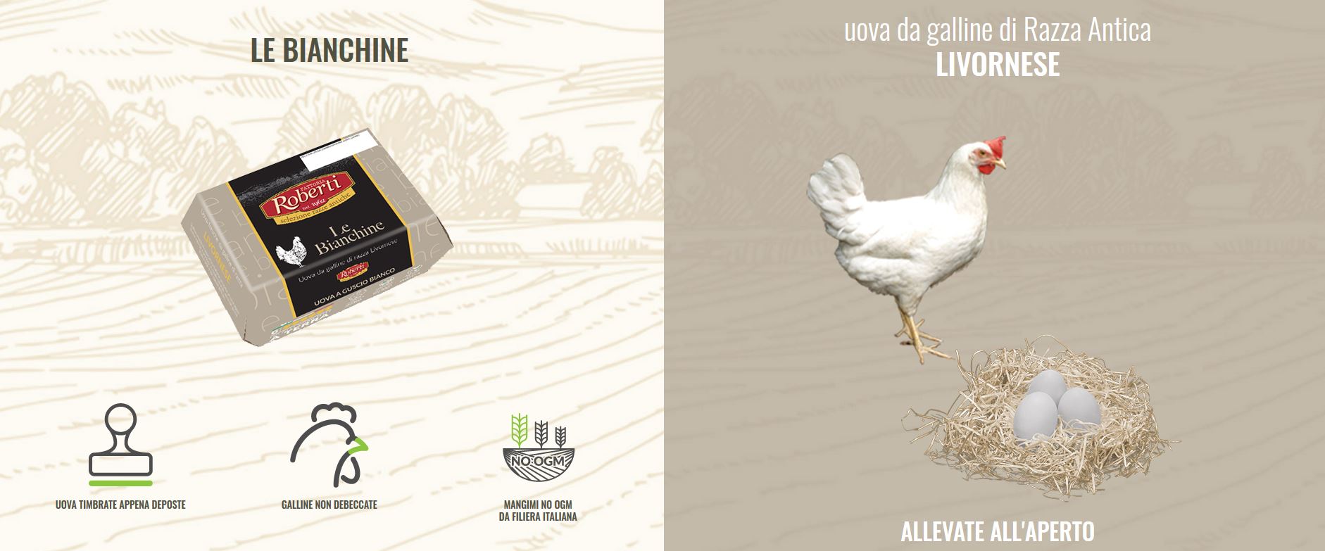 Fattoria Roberti - Uova Di Gallina 'le Bianchine' Uova Da ...